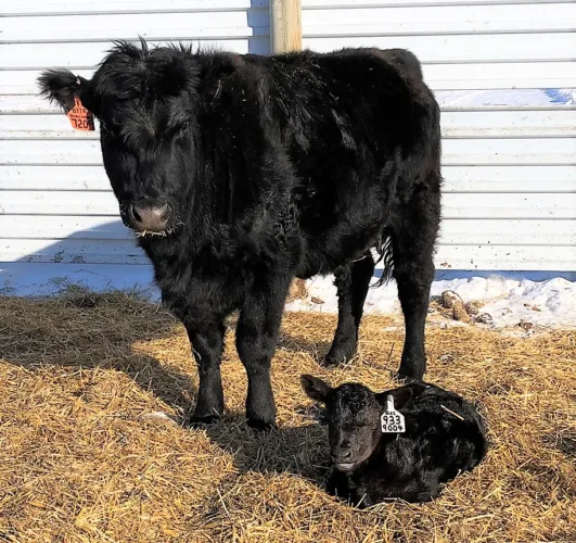Agriculture News